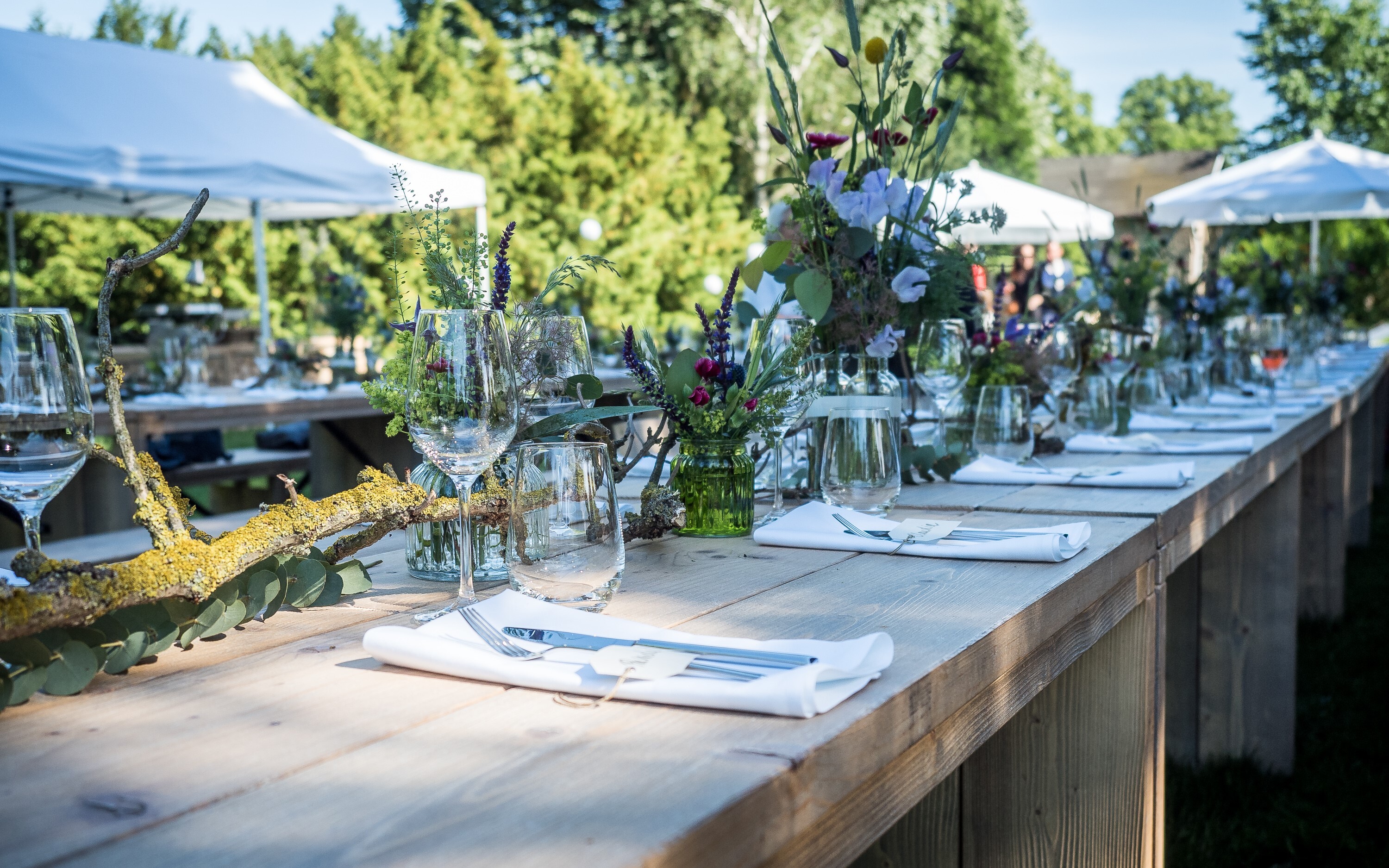 ProfiMiet Impressionen (7)